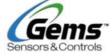 美国GEMS服务商