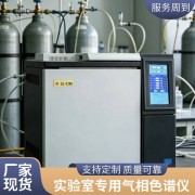 普瑞乙二醇单甲醚甲醇二甲醚分析气相色谱仪